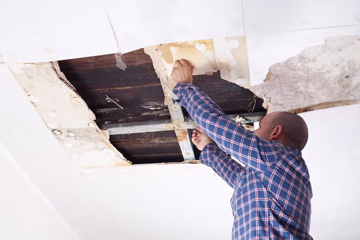 Repair Drywall